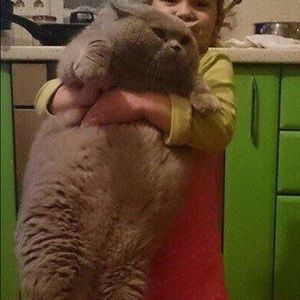 Meet your Posher, Jack